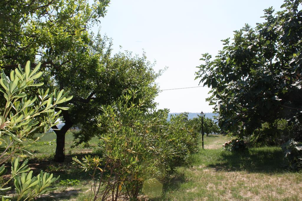 Azienda Agrituristica Le Puzelle Santa Severina Esterno foto